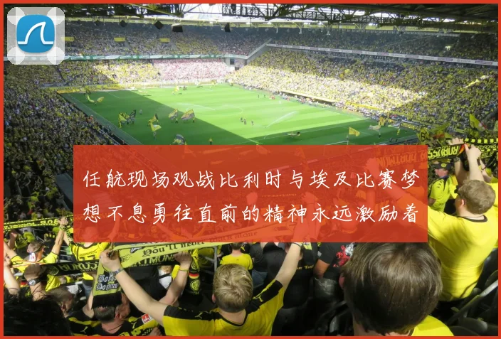 任航现场观战比利时与埃及比赛梦想不息勇往直前的精神永远激励着我们